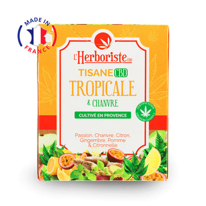 Tisane CBD Tropicale & Chanvre